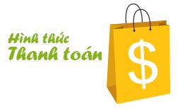 hinh thuc thanh toan
